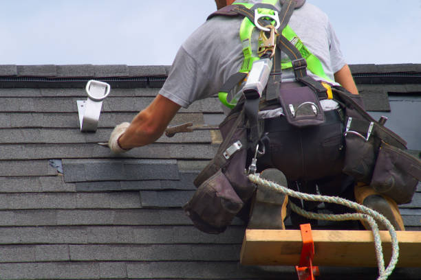 Steel Roofing in Detroit Beach, MI